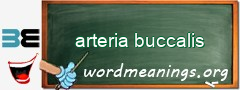 WordMeaning blackboard for arteria buccalis